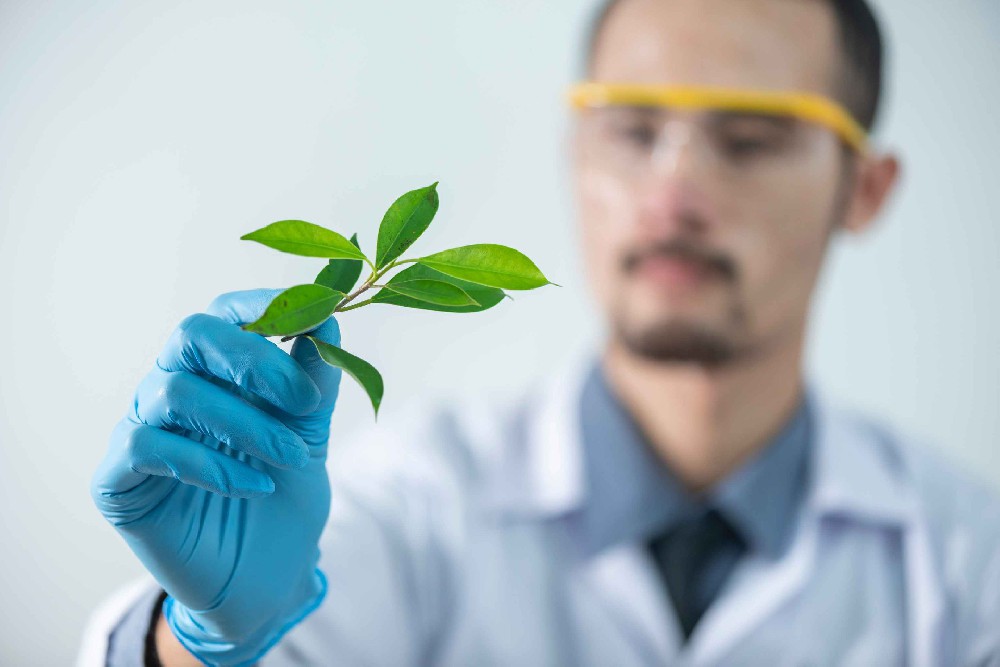 废物变废为宝：从高分子酯化木质素到下一代碳纤维，有何不同？